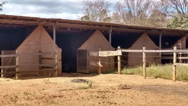 Samuel Pereira oferece: Haras completo, estrutura pronta para sua criação, água, irrigação no pasto