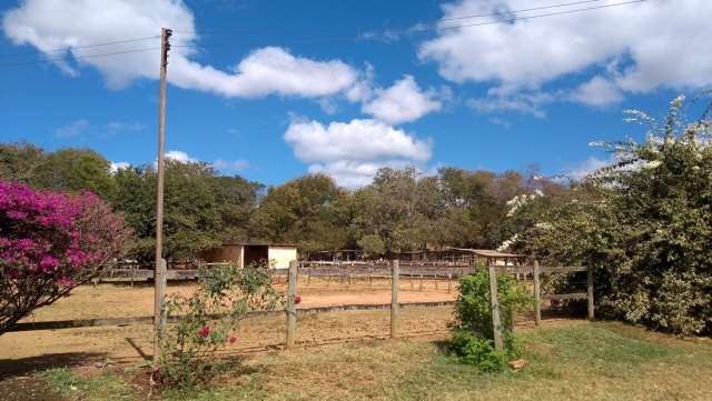 Samuel Pereira oferece: Haras completo, estrutura pronta para sua criação, água, irrigação no pasto