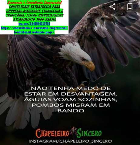 Londrina###Professor Imposto de Renda Brasil Busines 