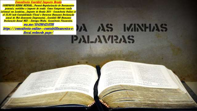 Pagamento e Regularização do DAS - Assessoria/Consultoria MEI 